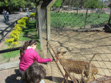 both kids and animals enjoyed the feeding