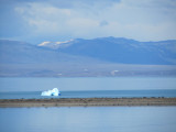 rounding the east shore of Lago Argentino