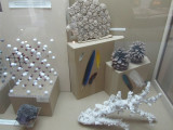 displays on materials and structures of nature