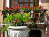 Summer Terrace II
