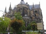 Notre Dame, Riems