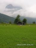 DSCN2189.jpg
