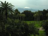 DSCN5062.jpg