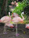DSCN6918.jpg