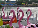 DSCN7036.jpg