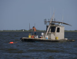 Clammer