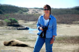 Alida and the Elephant Seals