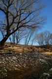 Late Winter Hike