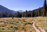 JMTsomewhere in Lyell Canyon