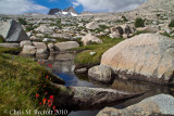 Red paintbrush flowers beside alpine stream