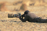 Me shooting Ringed Plover
