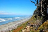 Olympic NP,Washington