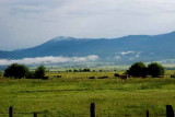 New Meadows,Idaho
