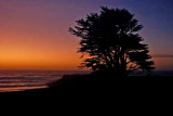 Mendocino coast