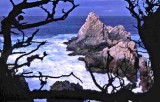Pt Lobos...Monterey Bay,CA