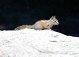 Mt. Lassen National Park