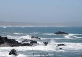 Bodega Bay  & The Sonoma Coast