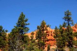 Cedar Breaks,Red Canyon,Bryce Canyon NP