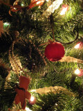 Christmas Tree3.jpg