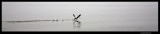 Svalbard_1492.4.jpg