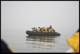 Svalbard_1496.4.jpg