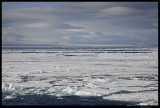 Svalbard_2545.jpg