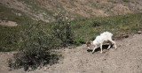 ANWR_6036.jpg