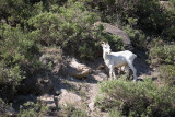 ANWR_6164.jpg