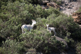 ANWR_6191.jpg