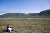 ANWR_6268.jpg