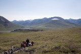 ANWR_6275.jpg