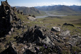 ANWR_6318.jpg