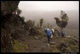 Kili_0750.3.jpg