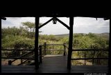 Serengeti_2020.3.jpg