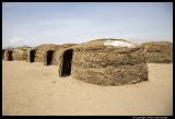 _MG_2366.3.jpg