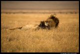 Ngorongoro_2463.3.jpg