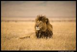 Ngorongoro_2470.3.jpg