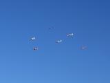 09b-05-P9120068-NI-sharp.jpg