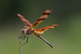 Halloween Pennant.jpg