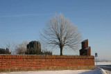 Snow and tree.jpg