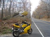 DSC01828 Small.JPG
