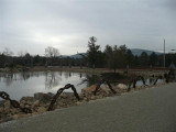 P1030592 (Small).JPG