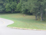 P1020672 (Small).JPG