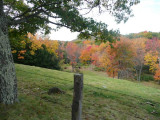 P1030053 (Small).JPG