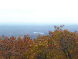 P1030067 (Small).JPG