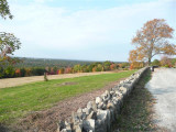 P1030137 (Small).JPG