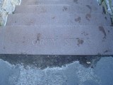 DSC02481 Small.JPG