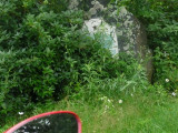 P1050553 (Small).JPG