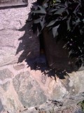 Find me here?