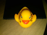 dunkin Duck